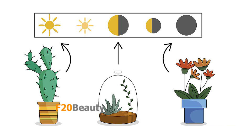 chon-dia-diem-cua-ban