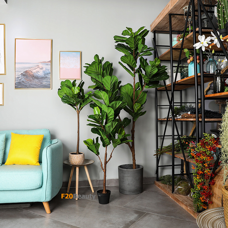 Cây xanh giả, cây bàng Singapore trong trang trí nhà cửa, phòng khách,...