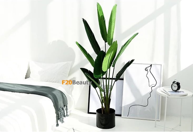 Cây chuối cảnh giả trong trang trí phòng