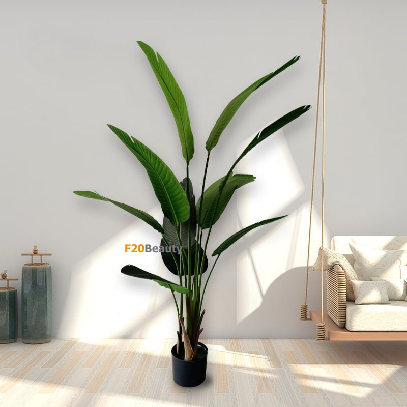 Cây chuối cảnh giả trong trang trí phòng