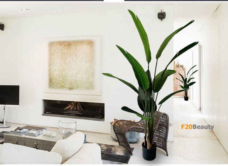 Cây chuối cảnh giả trong trang trí phòng