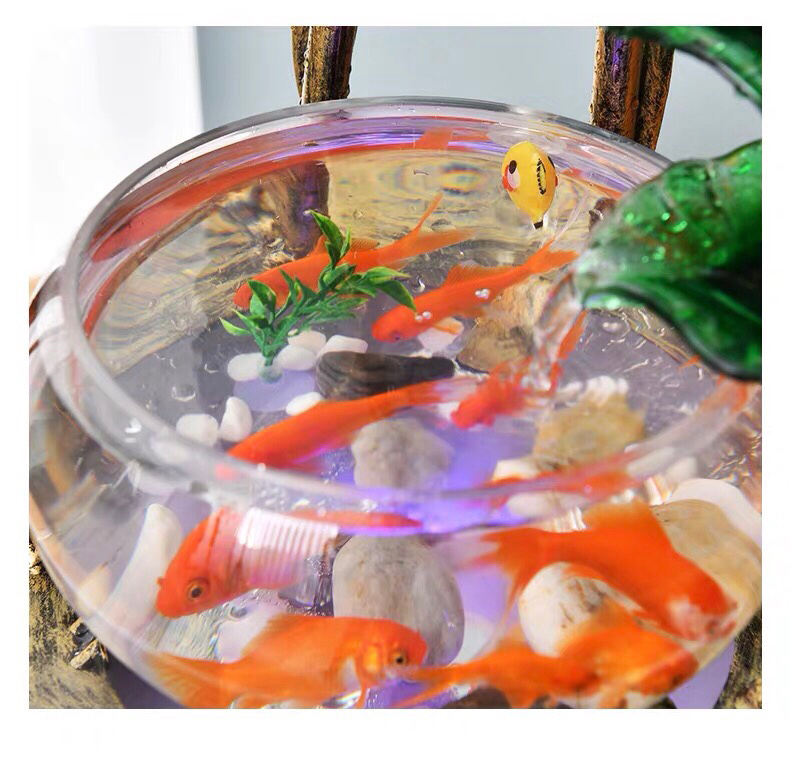 chi-tiet-be-ca-mini-1