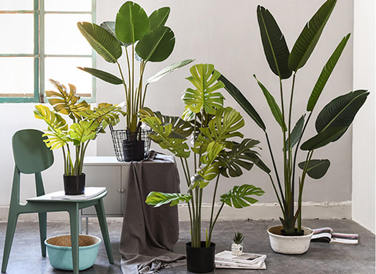 cay-hoa-gia-trang-tri-trong-nha