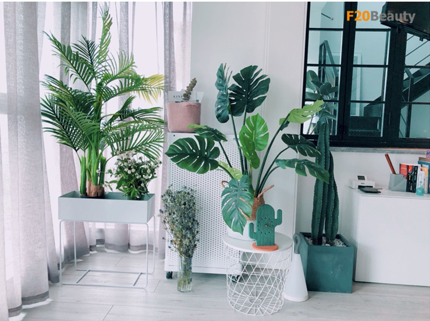 trang-tri-cay-canh-quan-cafe-phong-cach-bac-au