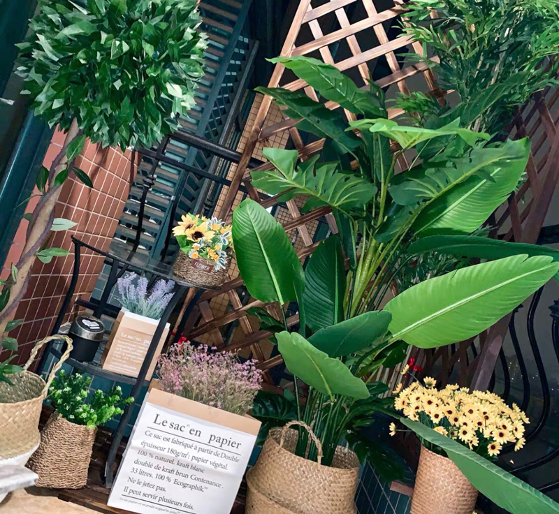 cay-canh-gia-trang-tri-quan-cafe