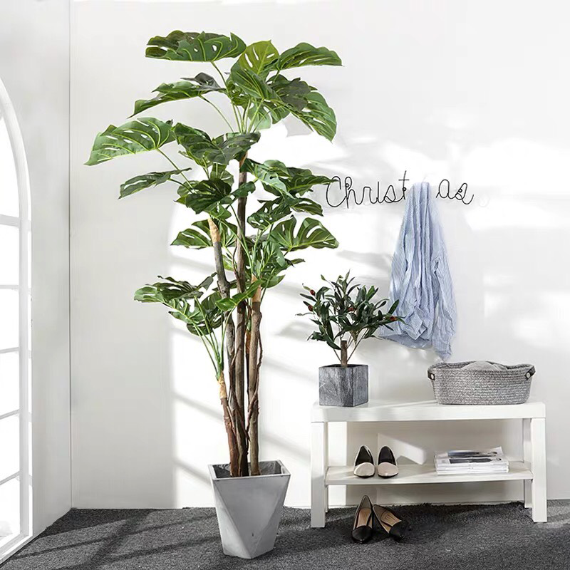 to-diem-khong-gian-phong-ngu-bang-cay-mostera-la-xe-than-cao