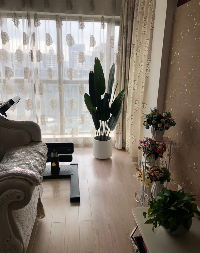 trang-tri-cay-chuoi-o-phong-khach