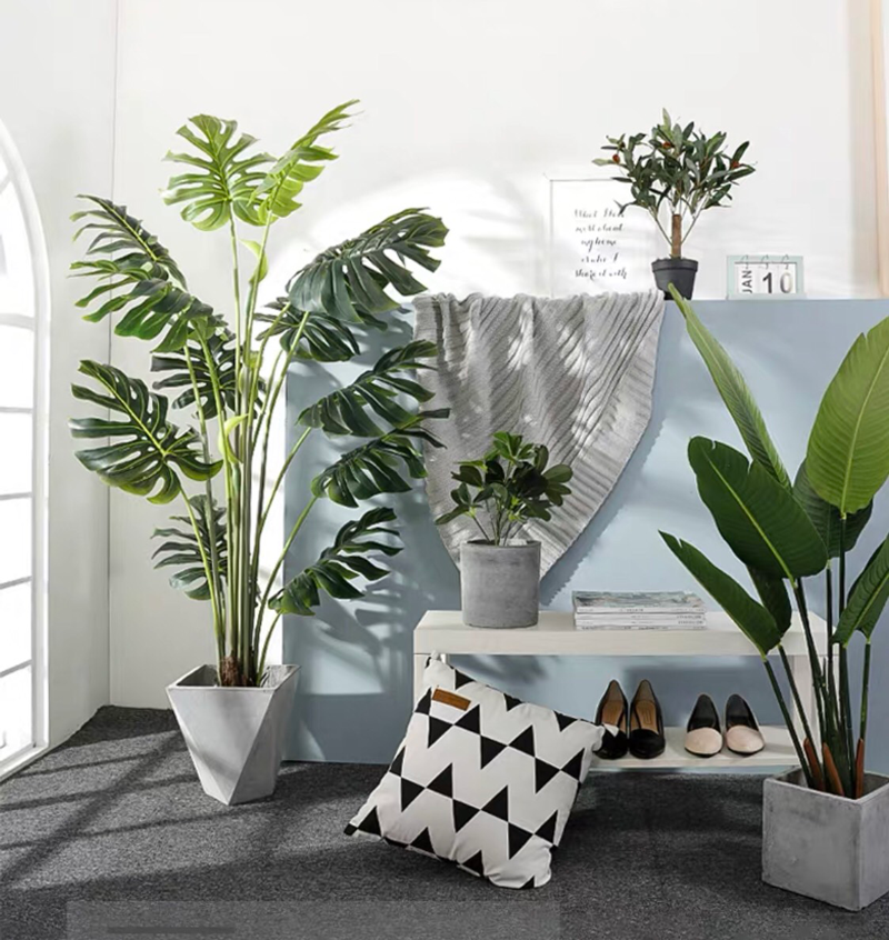 trang-tri-quan-cafe-bang-cay-xanh-gia