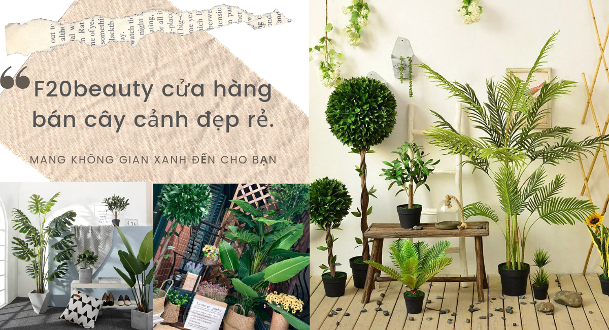 mua-chau-cay-canh-dep-re-hcm