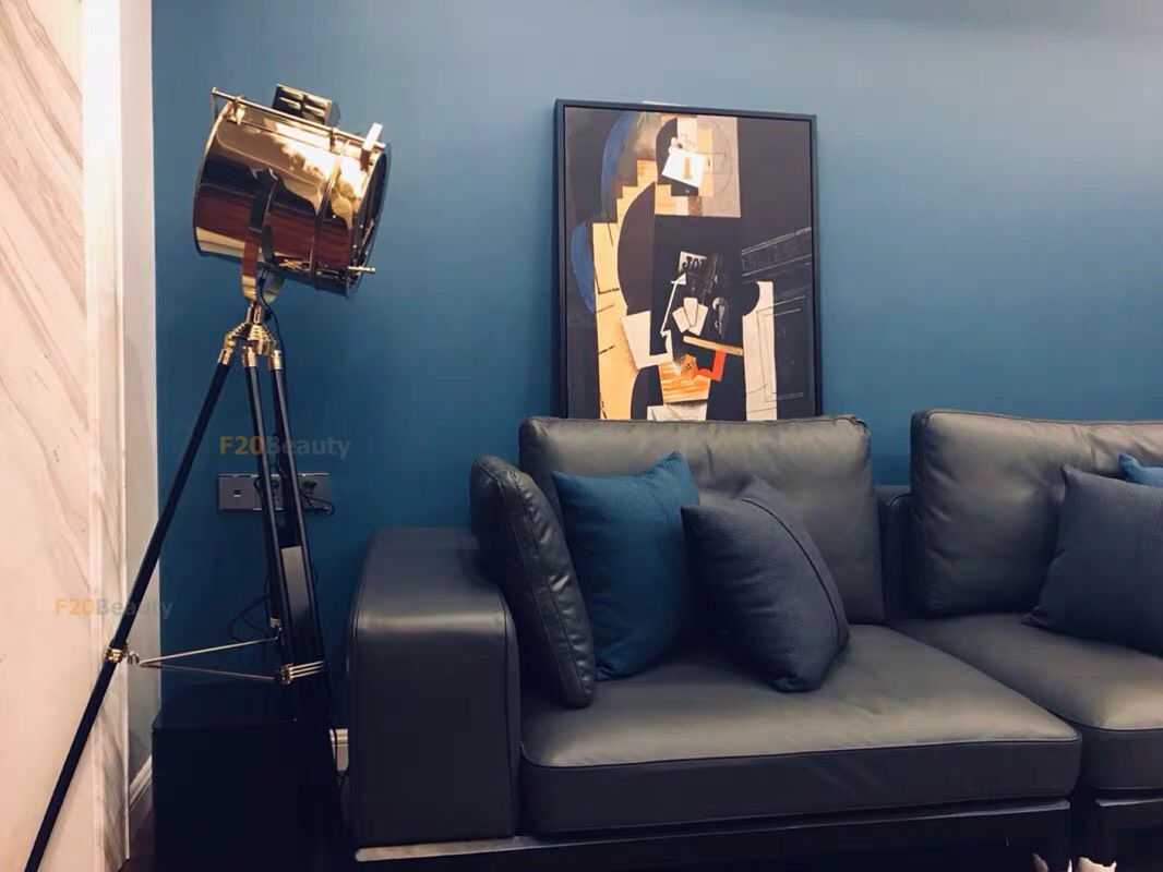 hinh-anh-thuc-te-den-cay-dung-horus-trang-tri-phong-khach-phong-cach-scandivania