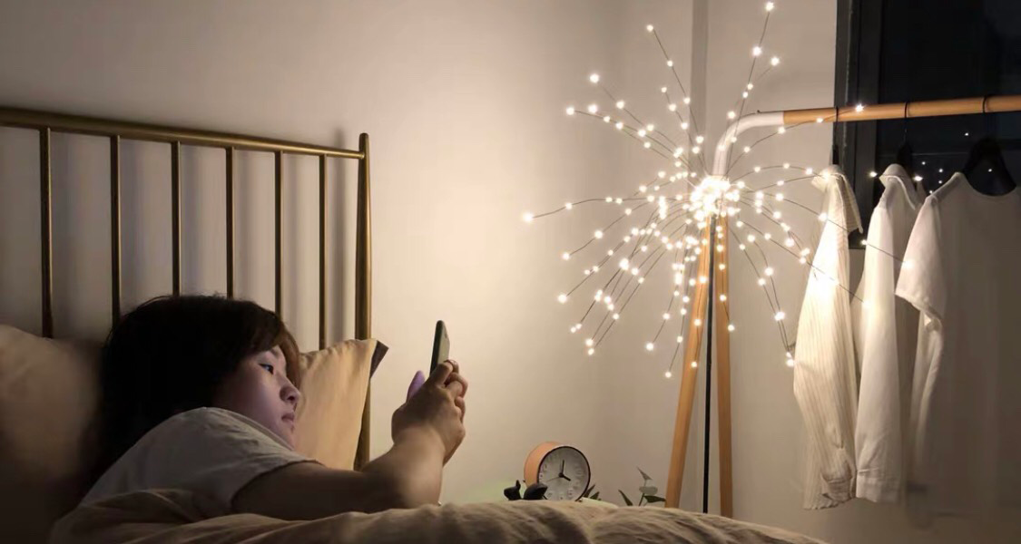 den-ngu-cay-dung-tia-nang