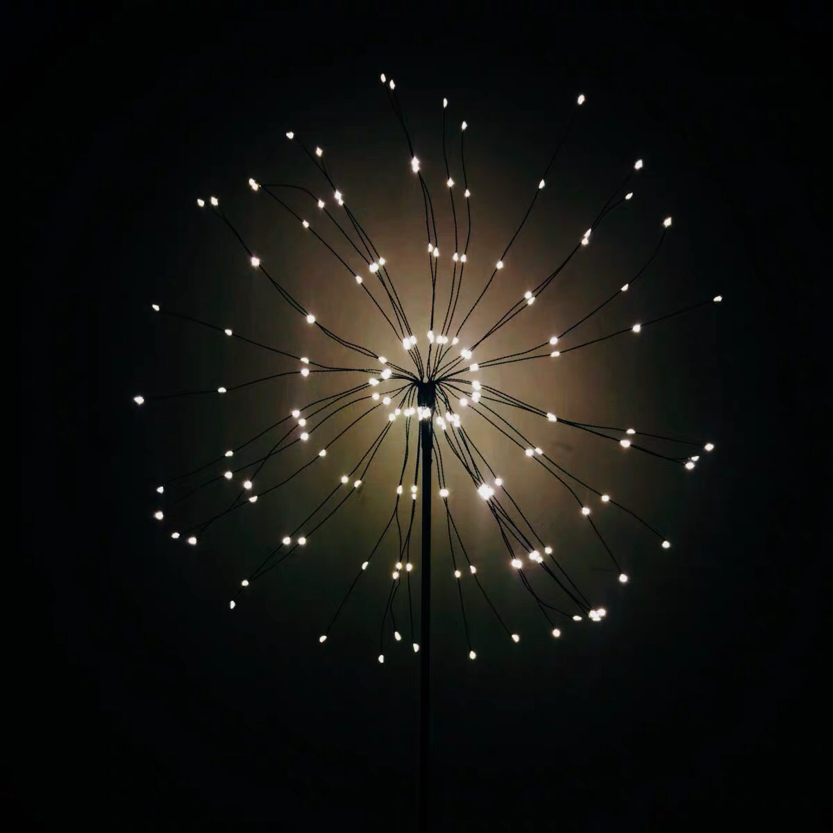 den-ngu-cay-dung-tia-nang-3