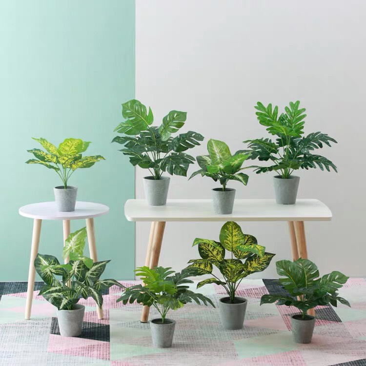 cay-hoa-gia-treo-tuong-8