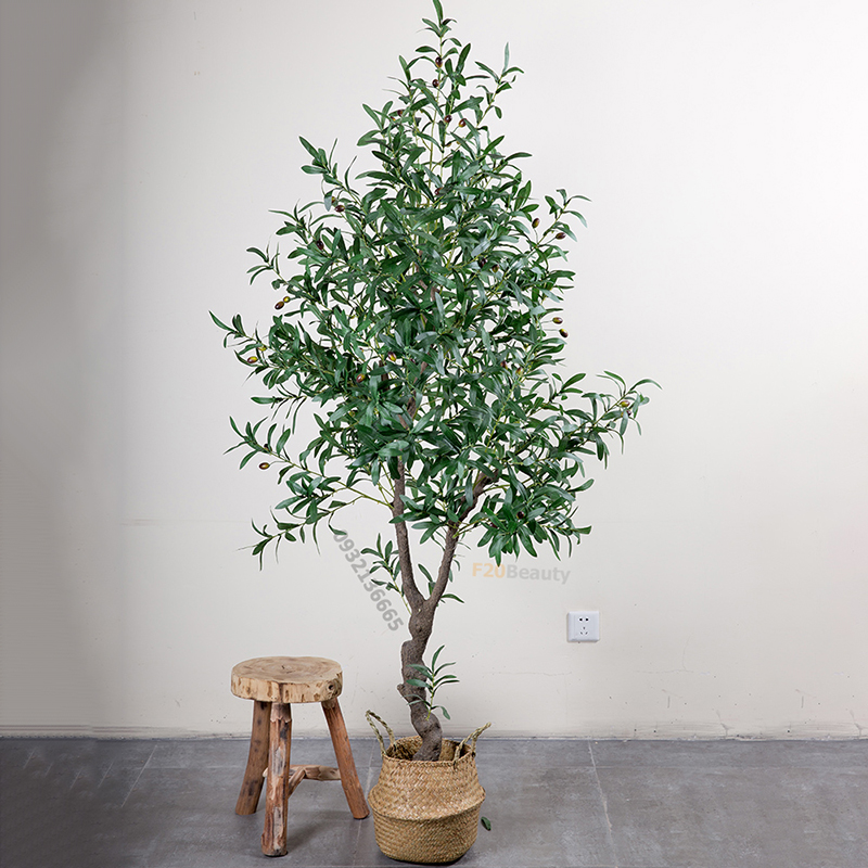 cay-o-liu-dia-trung-hai-2-nhanh-xoe