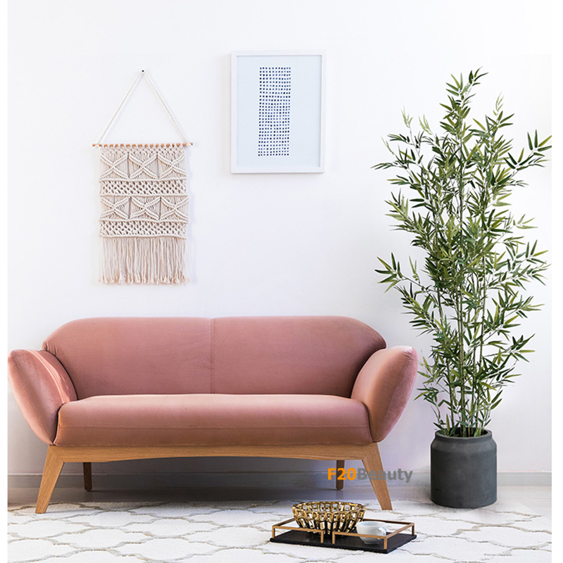 Chậu cây trúc quân tử giả