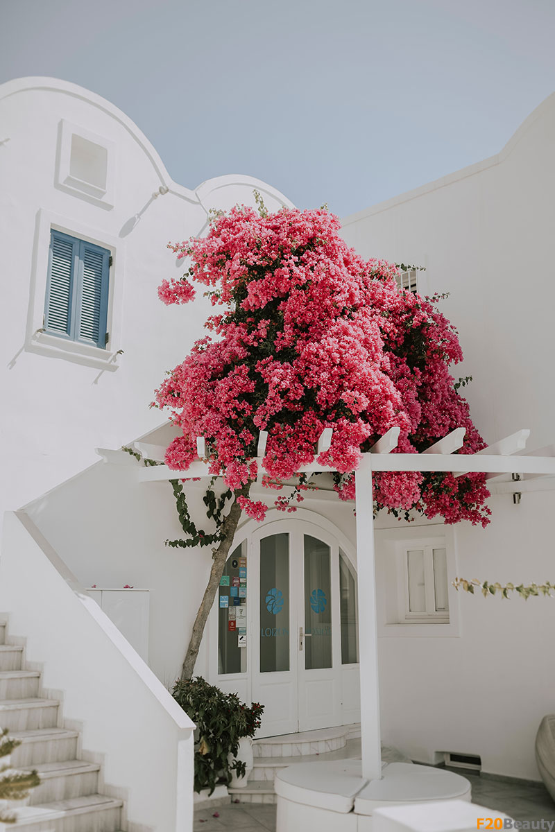 Cây giả trang trí ngoài trời