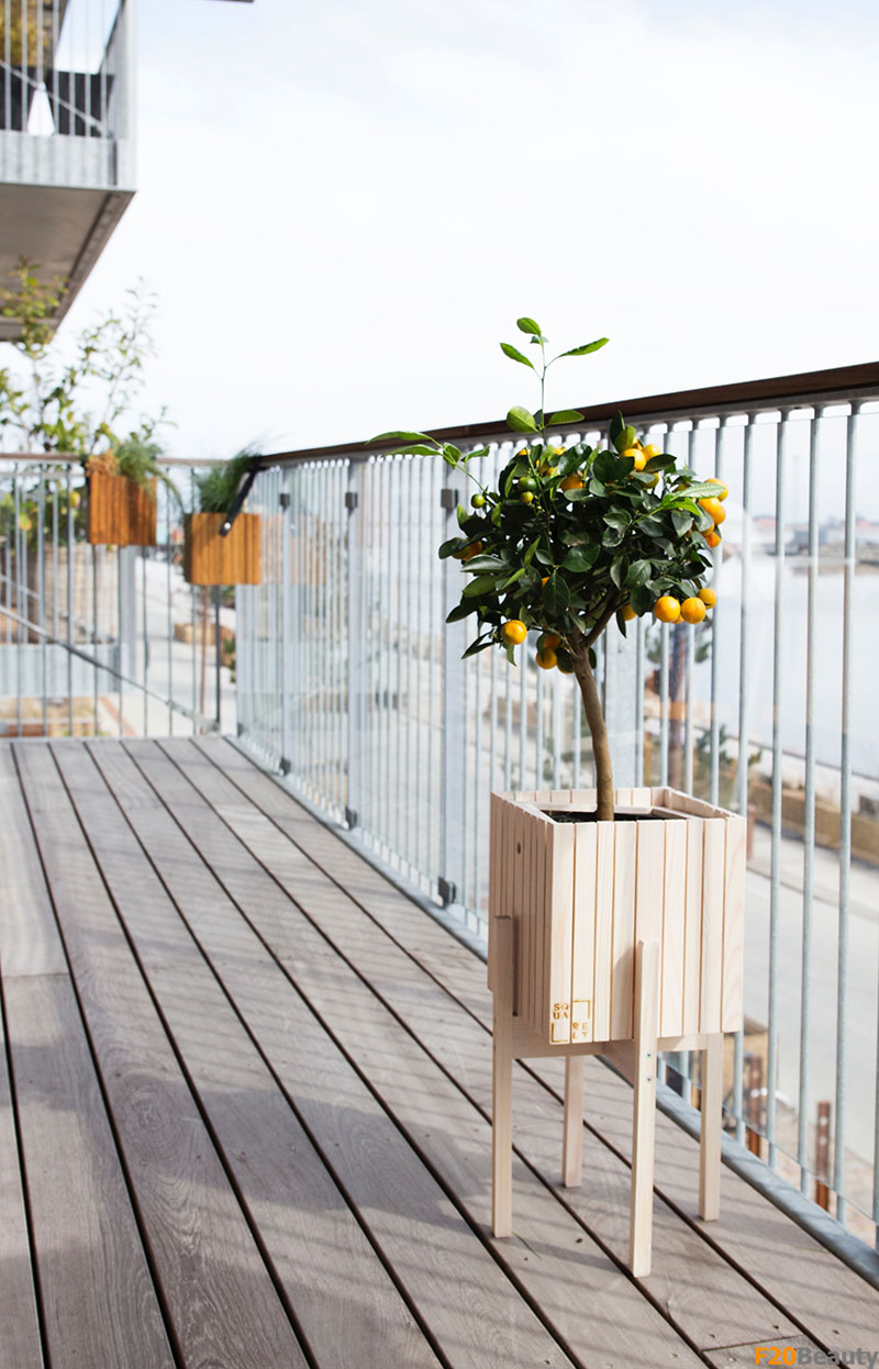 Cây giả trang trí