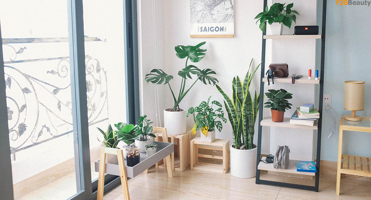 Cây giả trang trí