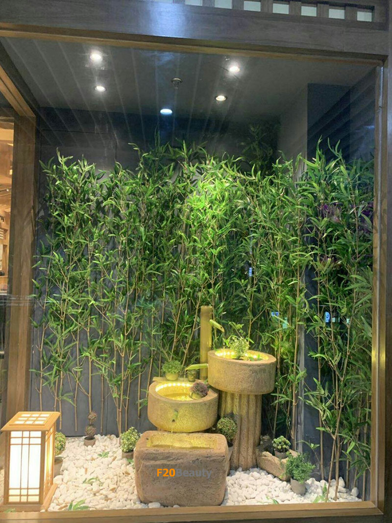 Hàng rào cây trúc quân tử