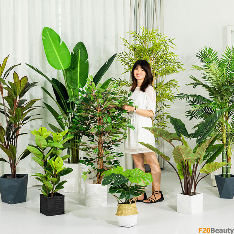 Cây giả trang trí nội thất