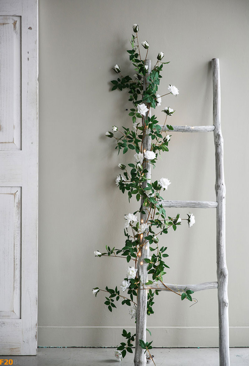 Hoa hồng Rosa trang trí tường