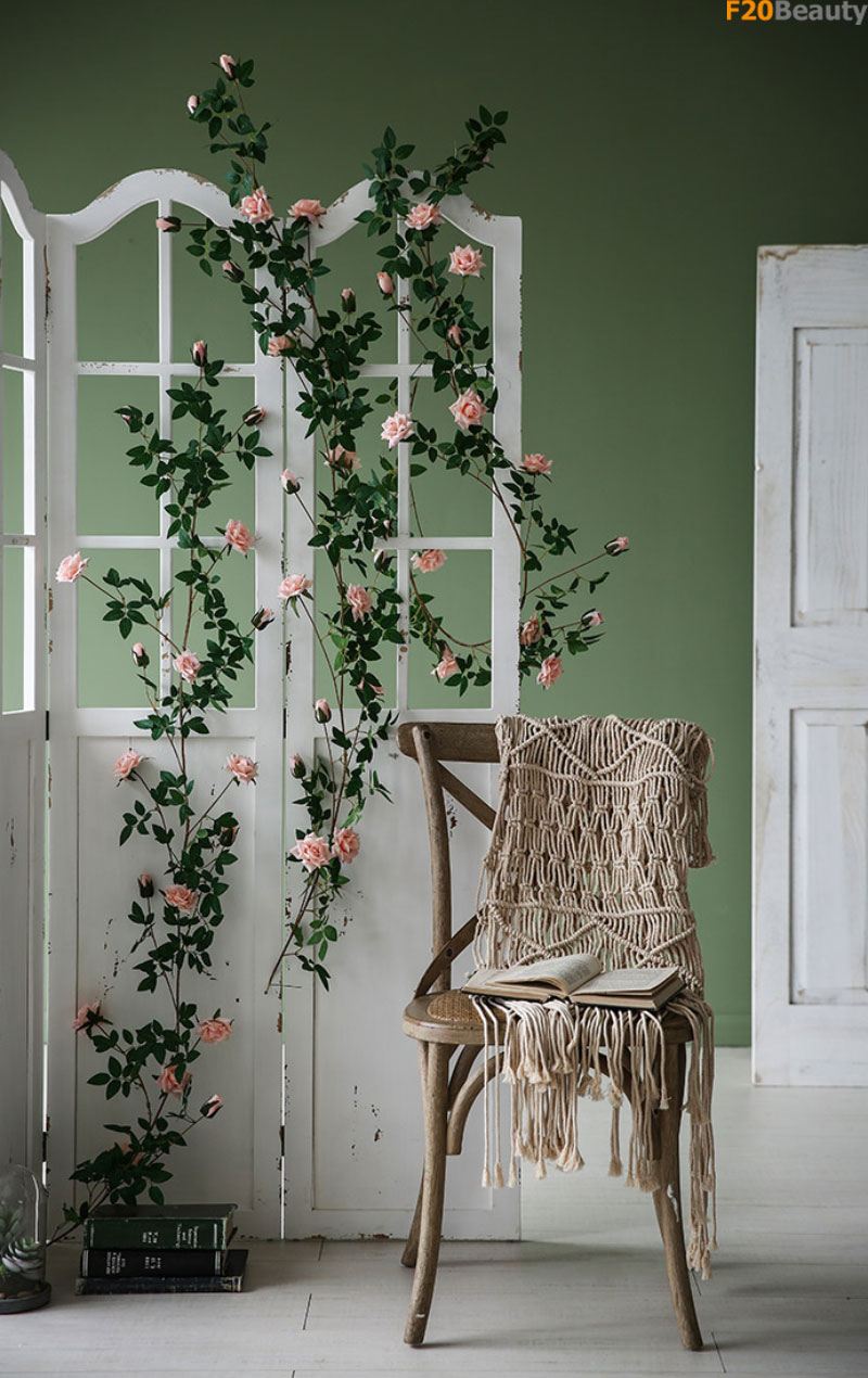 Hoa hồng Rosa trang trí tường