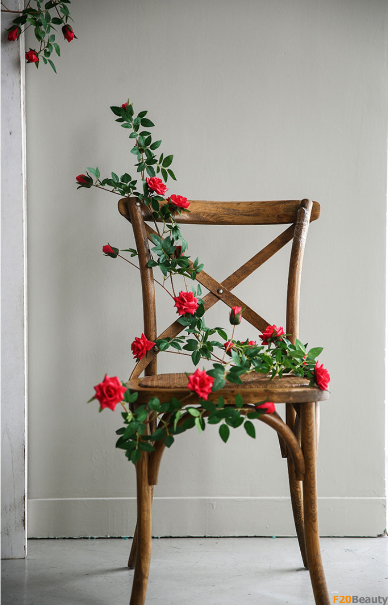 Hoa hồng Rosa trang trí tường