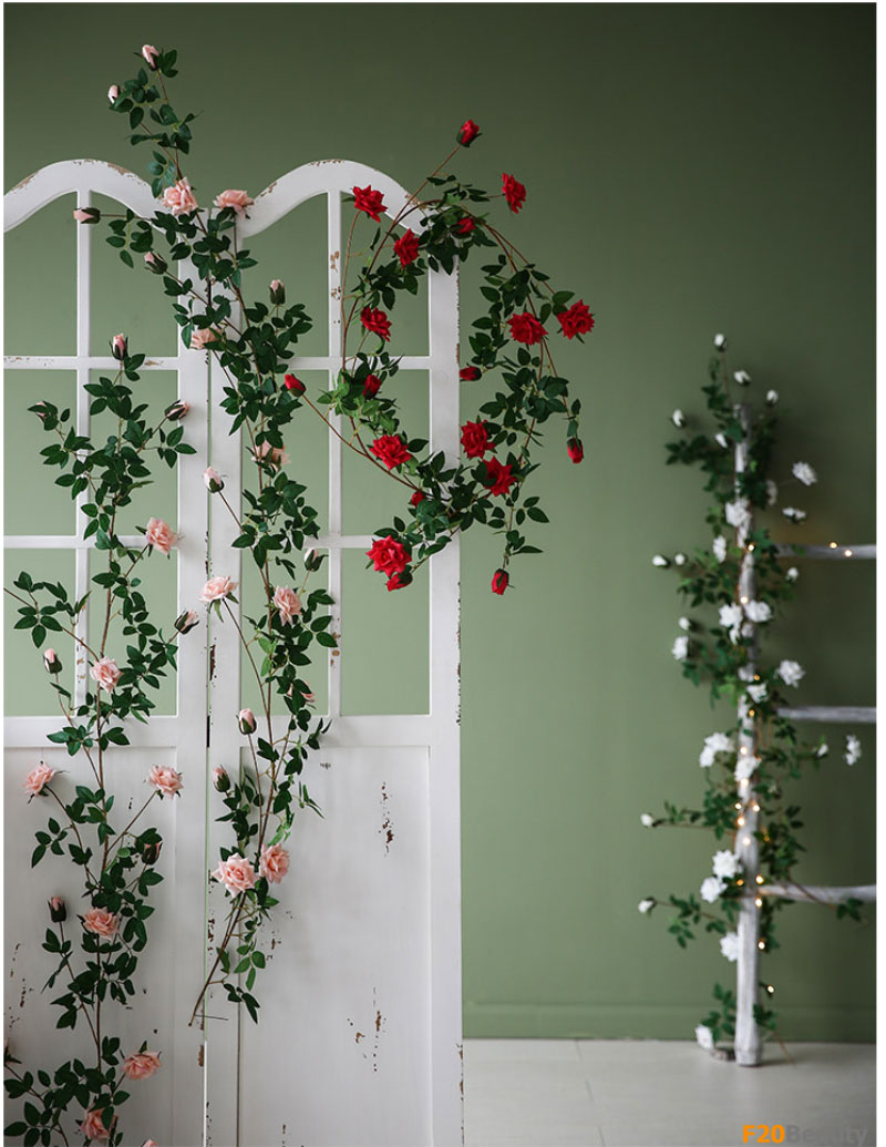 Hoa hồng Rosa trang trí tường