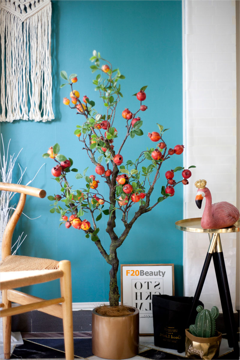 Cây lựu đỏ cảnh