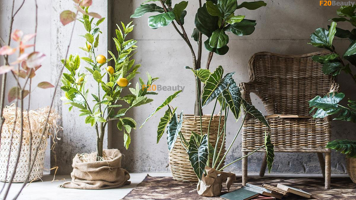 Phân biệt cây cảnh giả giá rẻ