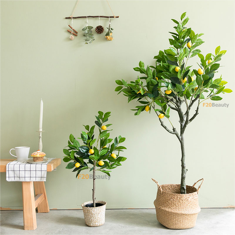 Cây chanh vàng giả