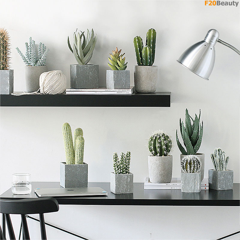 Chậu cây mini để bàn đẹp rẻ