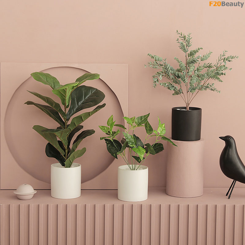 Chậu cây mini để bàn đẹp rẻ