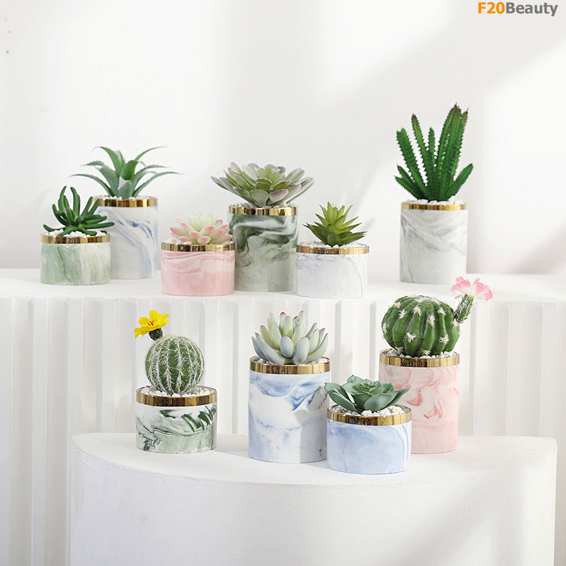 Chậu cây mini để bàn đẹp rẻ