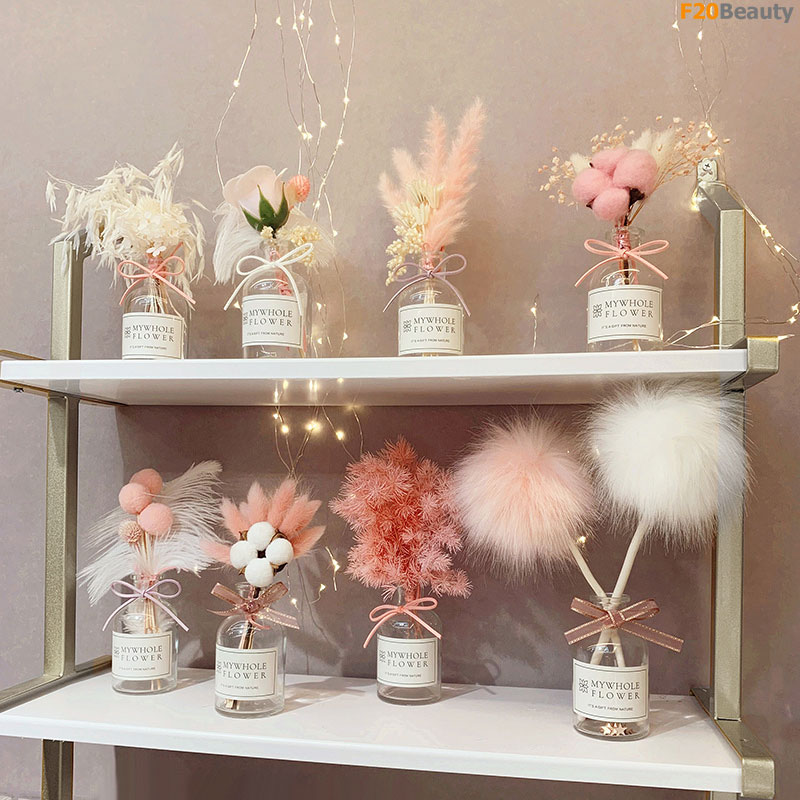 Chậu cây mini để bàn đẹp rẻ