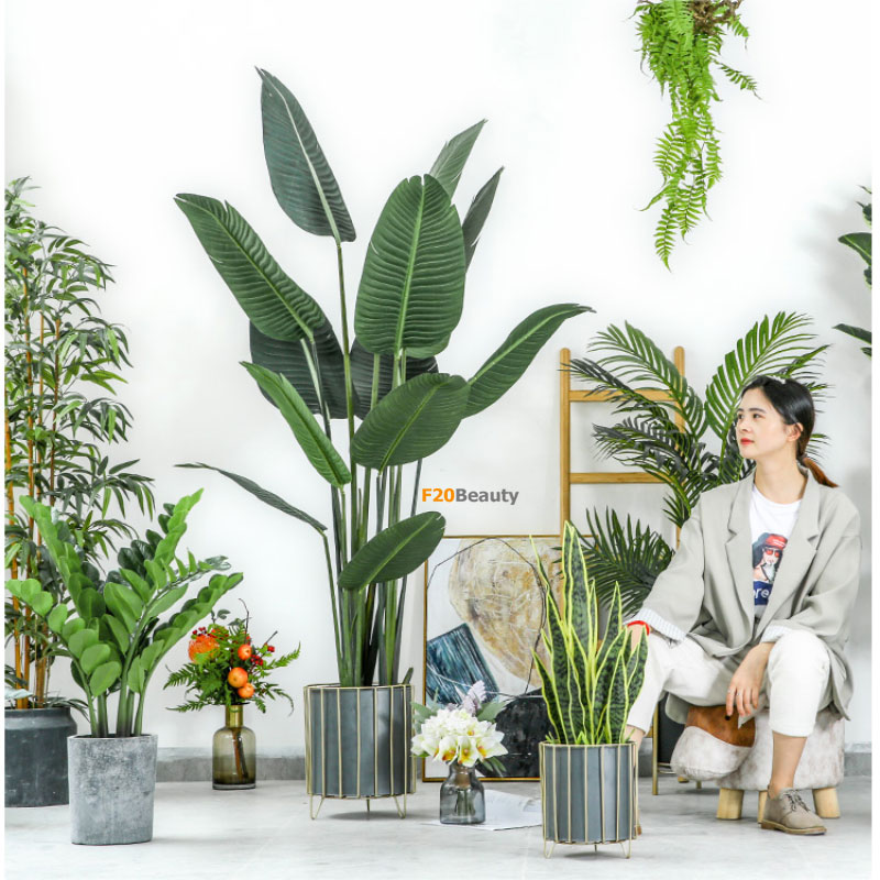 Cây chuối giả cao cấp