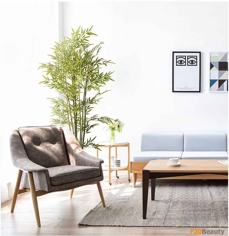 Chậu cây trúc quân tử giả