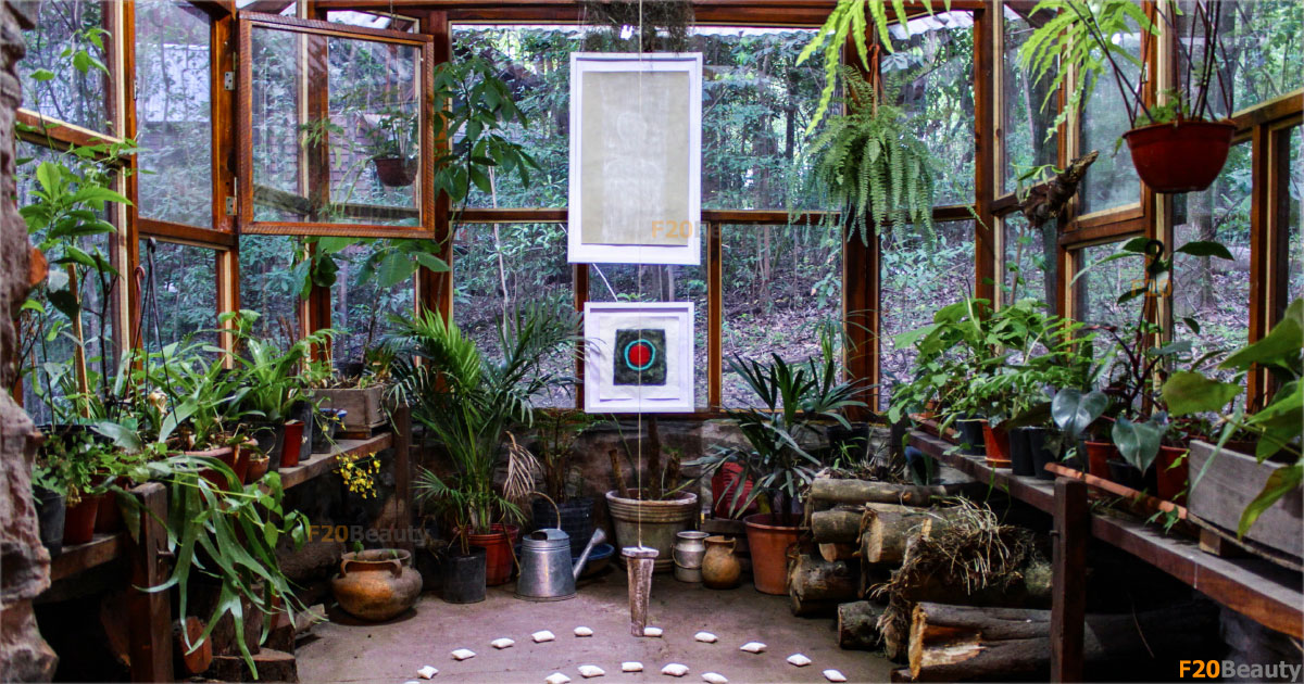 Cây cảnh giả trang trí đẹp