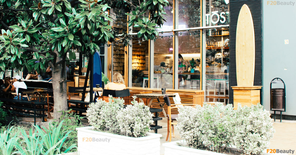 Cây cảnh trang trí quán cafe