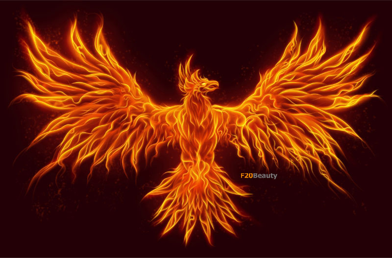 Hình ảnh phượng hoàng trong phong thủy