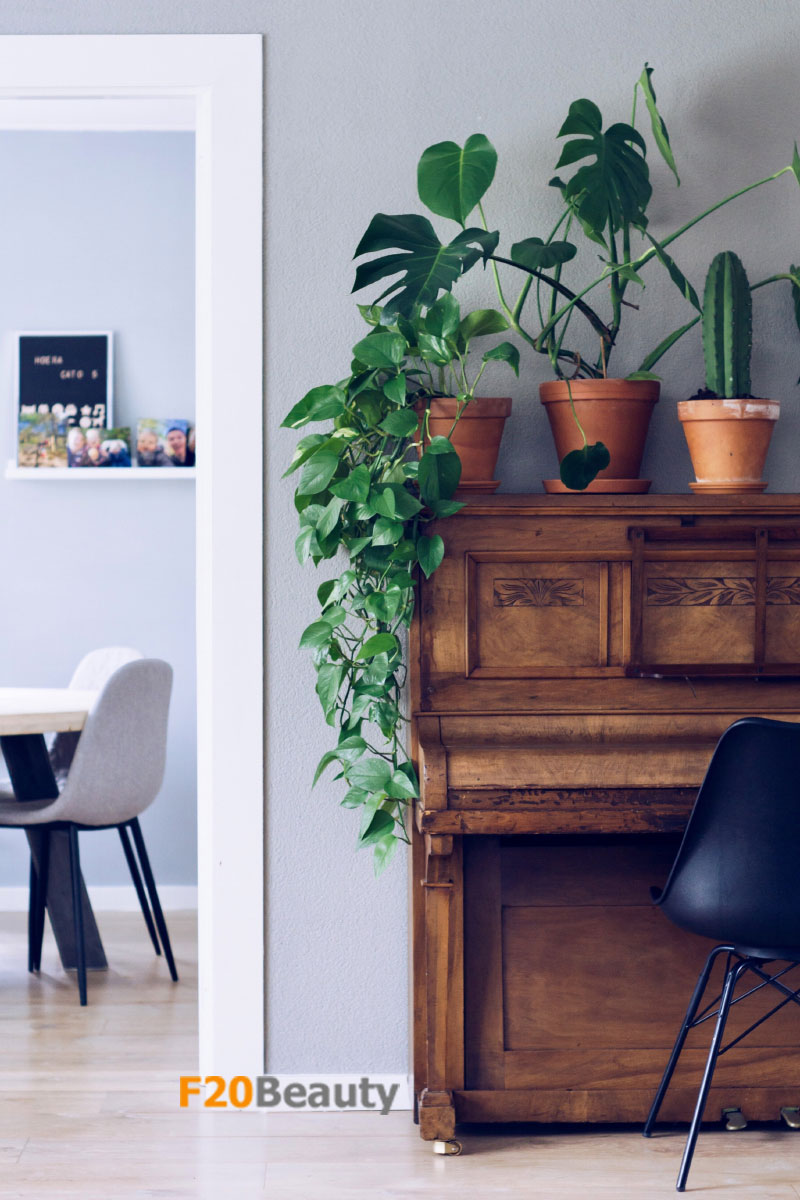 Cây giả trang trí