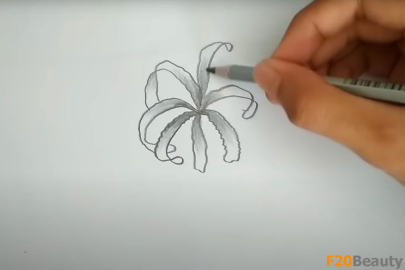 Bước 3 vẽ hoa bỉ ngạn