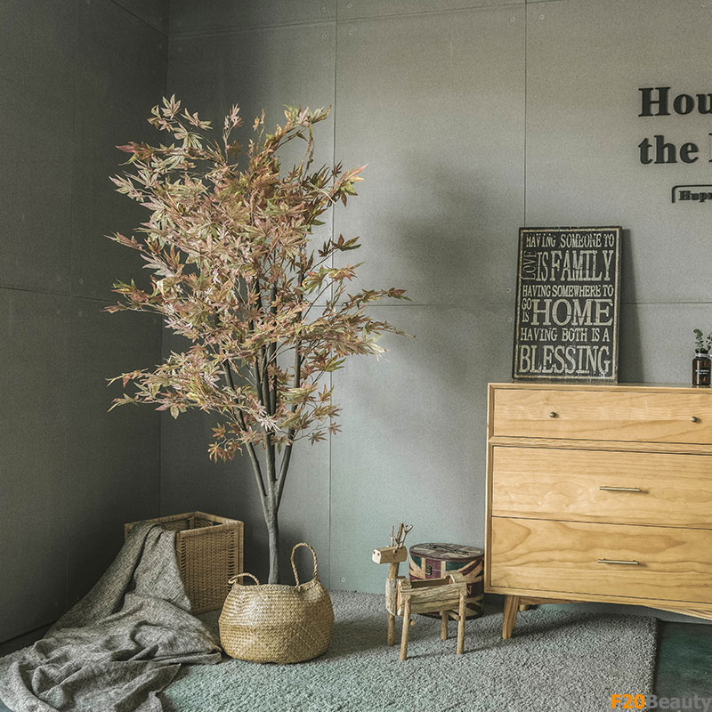 Cây phong lá đỏ giả