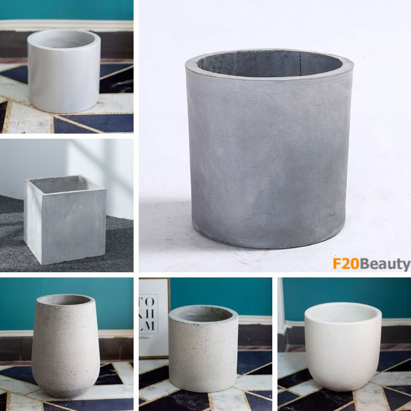 Chậu cây cảnh trang trí đẹp