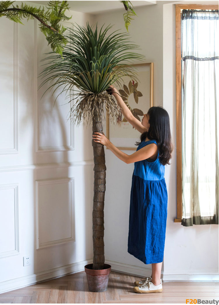 Cây cọ nhiệt đới